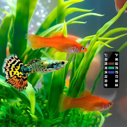 AQUANEAT 6 PCS Aquarium Thermometer Strips, Fish Tank Thermometer Sticker - Image 5