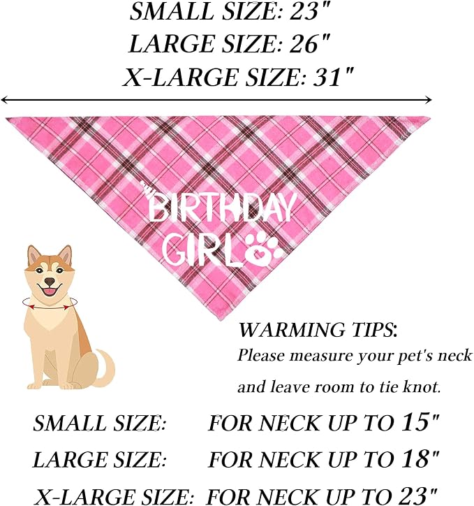 STMK Dog Birthday Outfits - Image 5