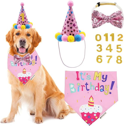 ADOGGYGO Dog Birthday Bandana Scarf and Dog Girl Birthday Party Hat by ADOGGYGO