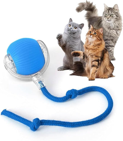 Rocfish Durable Interactive Cat Toys by Unknown