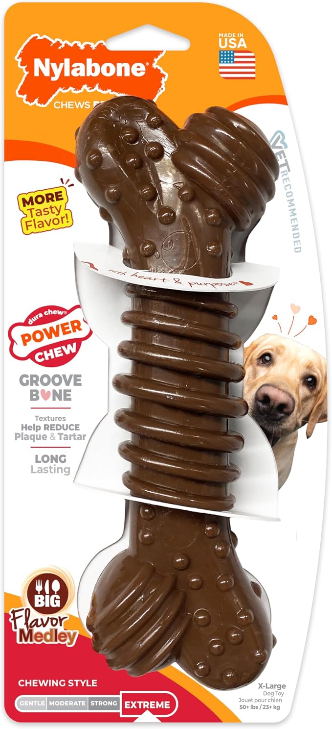 Nylabone Textured Dental Bone Power Chew Toy - Image 9