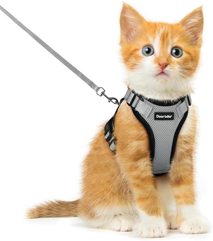 Dooradar Cat Harness and Leash Set, Escape Proof Safe Adjustable Kitten Vest by Dooradar