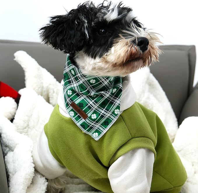 lionet paws St Patricks Dog Bandana - Image 3