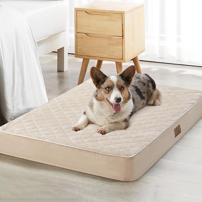 WNPETHOME Orthopedic XXL Dog Beds Large Sized Dog, Waterproof Extra Large Dogs by WNPETHOMEPETSHOME