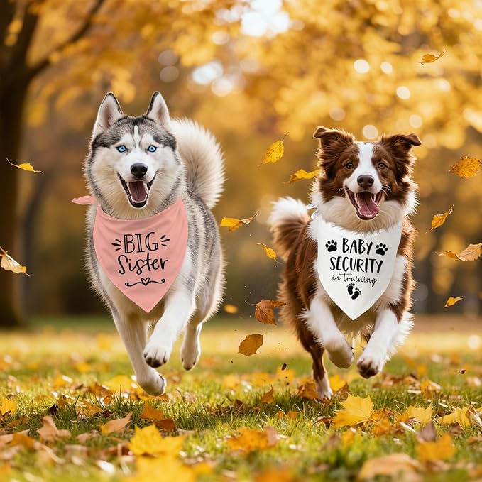 Big Sister&Baby Security in Training Dog Bandana, Dog Bandanas - Image 6