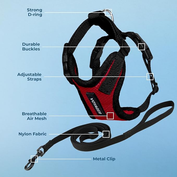 Voyager Escape-Proof Step-in Lock Cat Harness & 5ft Neoprene-Handle Leash Set - Image 3