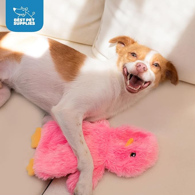 Best Pet Supplies Interactive Squeaky Dog Chew Toy, Ideal Dog Toys - Image 7