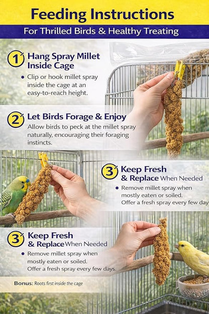 1lb Millet Tips & Tails for Birds - Image 4