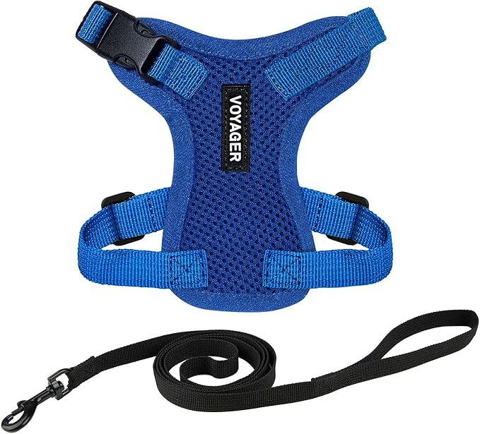 Voyager Escape-Proof Step-in Lock Cat Harness & 5ft Neoprene-Handle Leash Set by BestPetSuppliesLLC