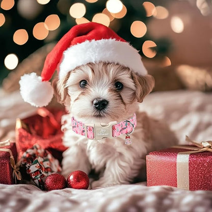 Christmas Dog Collar for Small Dogs - Image 7