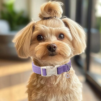 Cute Corduroy Dog Collar - Image 5