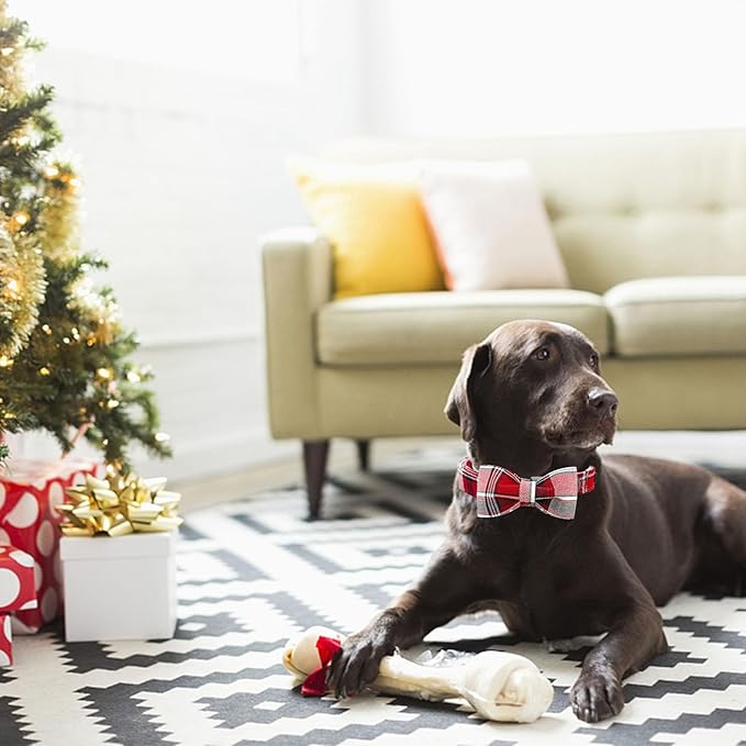 Dog Collar, Christmas Dog Collar Plaid Pet Collar Bow Holiday Bows Girl Boy - Image 5