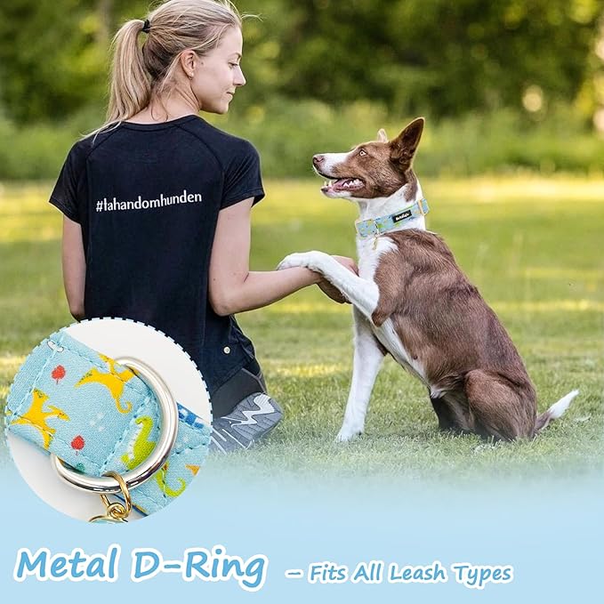 Dinosaur Dog Collar for Extra Small Dogs, Cute Puppy Collars - Image 6