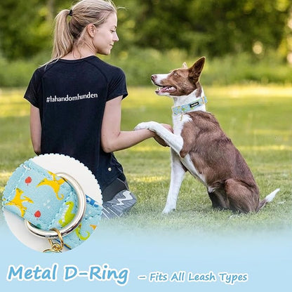 Dinosaur Dog Collar for Extra Small Dogs, Cute Puppy Collars - Image 6