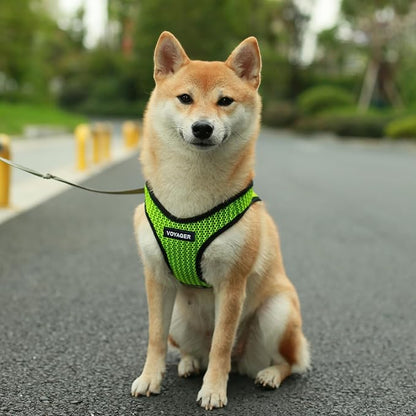 Best Pet Supplies Voyager Step-in Air Harness - Image 7