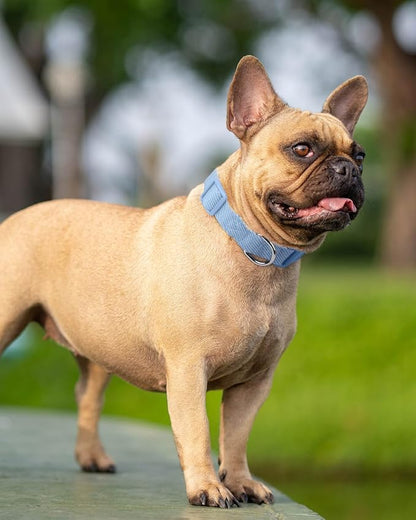 Dynmeow Soft and Breathable Cotton Dog Collar, Durable Adjustable Boy Pet Collar - Image 7