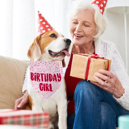 Birthday Girl Dog Bandanas 1 Pack, HBD Pet Scarves - Image 6