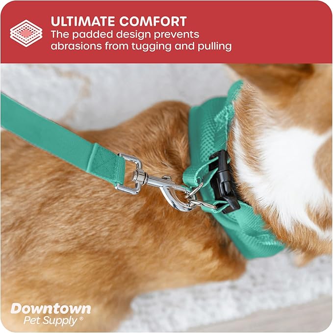 Downtown Pet Supply Step in Dog Harness - Image 6