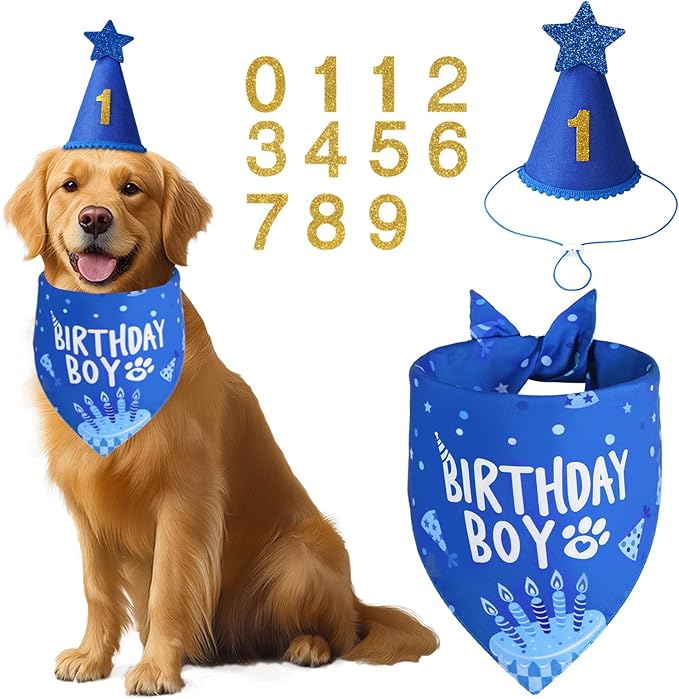 Dog Birthday Party Supplies by Unknown