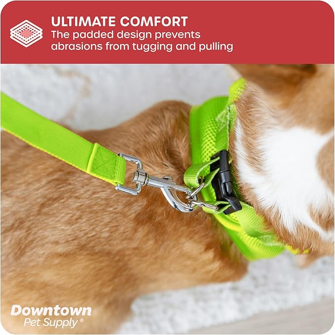Downtown Pet Supply Step-in Dog Harness – No Pull, Adjustable Padded Mesh - Image 6