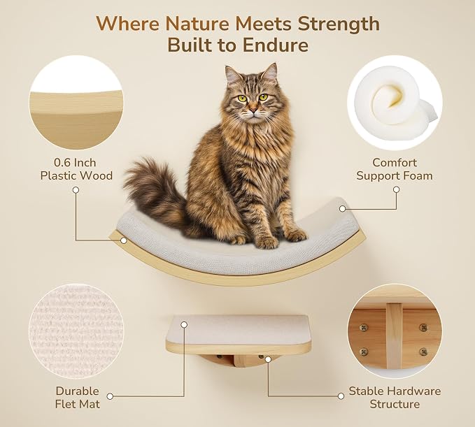 Cat Wall Shelves and Cats Window Perch – Natural Wood 4-Piece Set - Image 3
