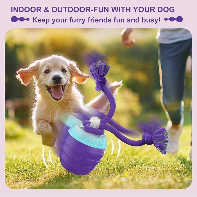Interactive Dog Toy, Motion Activated Rolling Squeaky Ball - Image 2