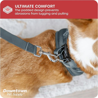 Downtown Pet Supply Step in Dog Harness No Pull, Titanium - Image 6