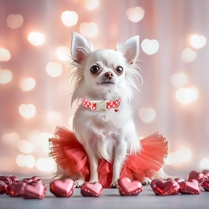 Valentines Dog Collar for Large Dogs - Image 5