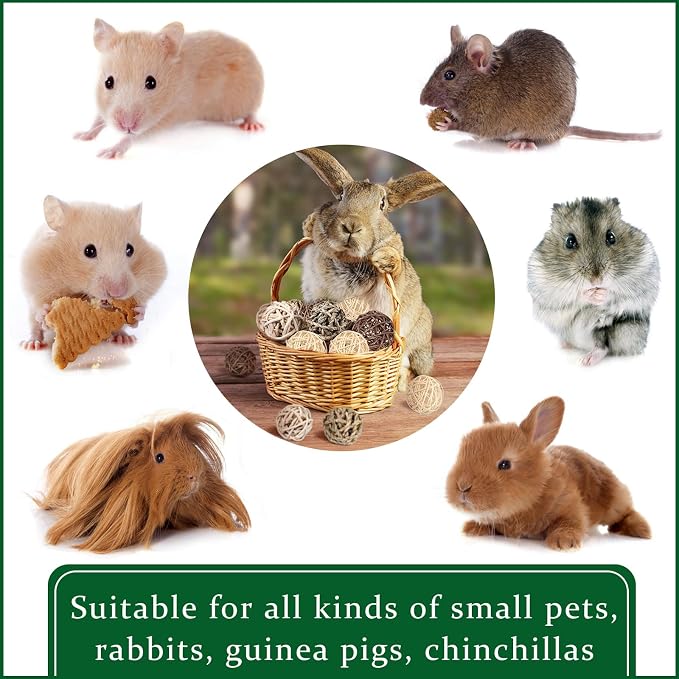 Skylety 15 Pieces Small Animal Chew Balls Rabbits Bunny Treat Chew Toys Guinea - Image 6
