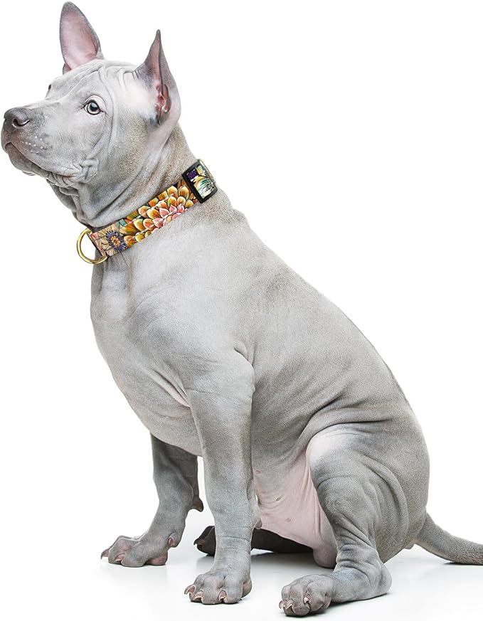 Reflective Dog Collar for Medium Dogs, Cute Boho Adjustable Heavy-Duty Nylon - Image 2