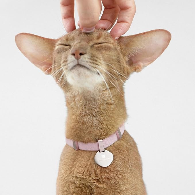Safety Cat Collar - Image 8
