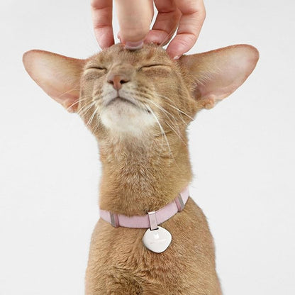 Safety Cat Collar - Image 8