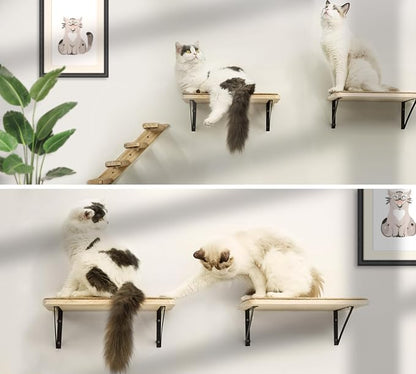2PCS Cat Wall Shelves with Scratching Mat, 16.6x9.7 Inch Cats Wall Furniture - Image 8