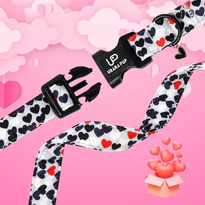 Valentine's Dog Collar, UP URARA PUP Love Heart Adjustable Pet Collar - Image 4