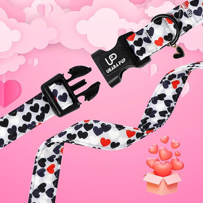 Valentine's Dog Collar, UP URARA PUP Love Heart Adjustable Pet Collar - Image 4
