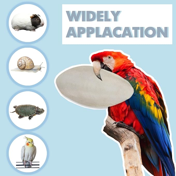 Jmxu's 5"-5.5" Bird Cuttlebone for Parakeets, Cuddle Bone - Image 6