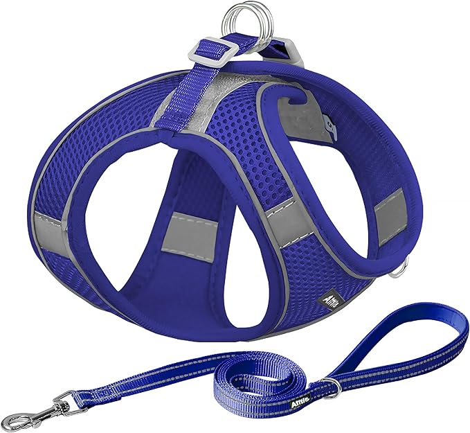 AIITLE Easy Walk Dog Harness and Leash Set by AIITLE-FORPETSBETTERLIFE
