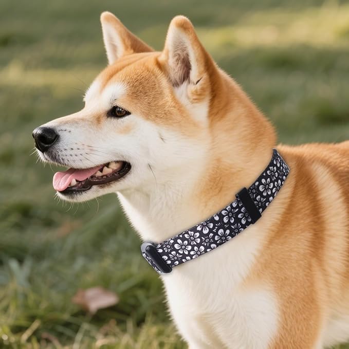 QQPETS Adjustable Soft Dog Collar: Print Flower Pink Multicolor Cute Patterns - Image 7