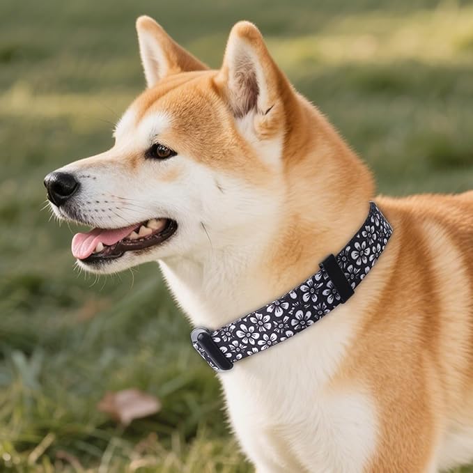 QQPETS Adjustable Soft Dog Collar: Print Flower Pink Multicolor Cute Patterns - Image 2