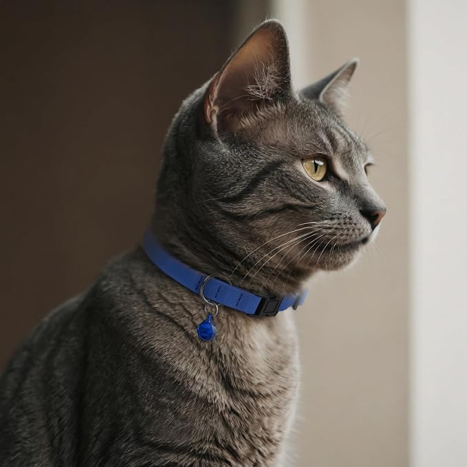 Breakaway Cat Collar Leather - Image 7