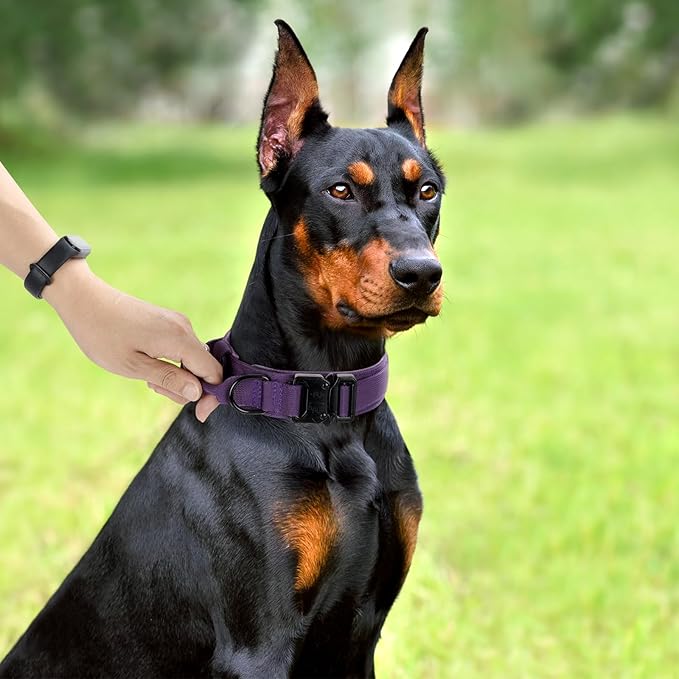 Tactical Dog Collar, Adjustable Military Training Nylon Dog Collar - Image 6