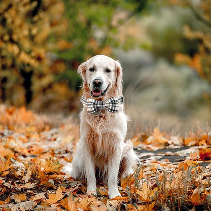 Dog Collar- Plaid Pet Collar Cute Pet Bow Soft Girl or Boy Dog Collars - Image 6