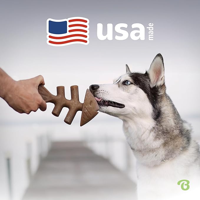 Benebone Fishbone Durable Dog Chew Toy - Image 5