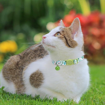 SCENEREAL Breakaway Cat Collar - Image 6
