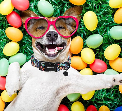 DOGWONG Easter Dog Collar - Image 4