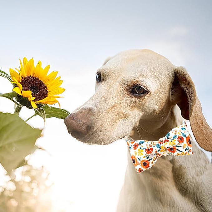 Lionheart glory Dog Collar Bow Collar Floral Dog Collar - Image 4