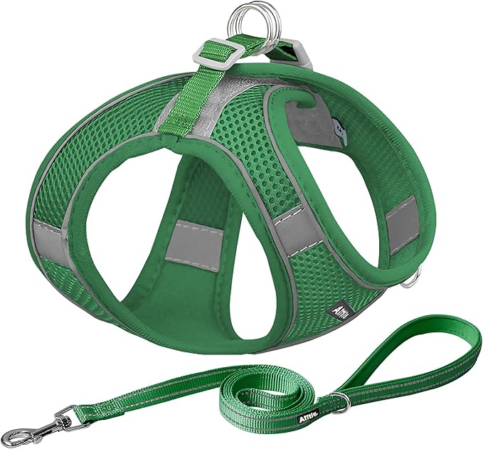 AIITLE Dog Harness, No-Pull Cat Harness by AIITLE-FORPETSBETTERLIFE