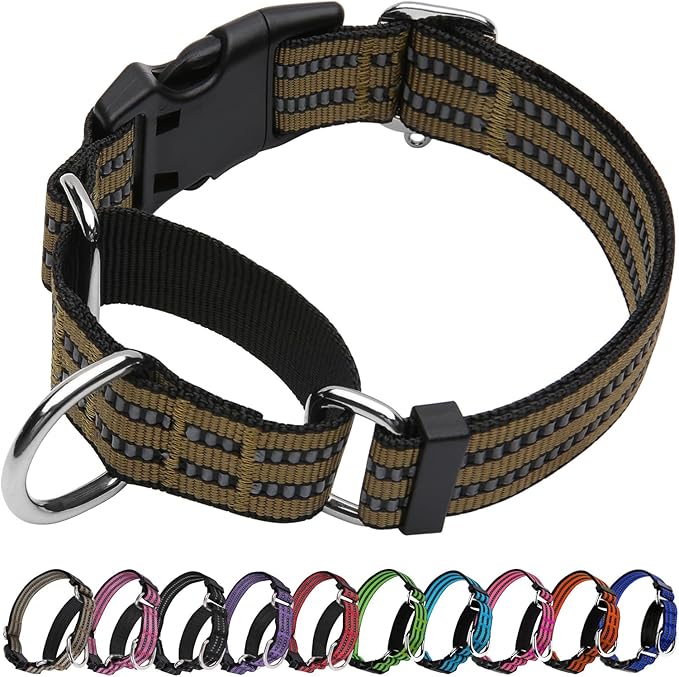 Martingale Dog Collar, Adjustable Nylon Reflective Collar by JOYEEIIOO