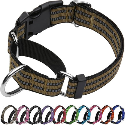 Martingale Dog Collar, Adjustable Nylon Reflective Collar by JOYEEIIOO