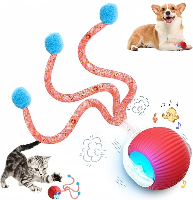 Speed 2.0 Tail Interactive Cat Toys by Unknown